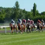 course hippique