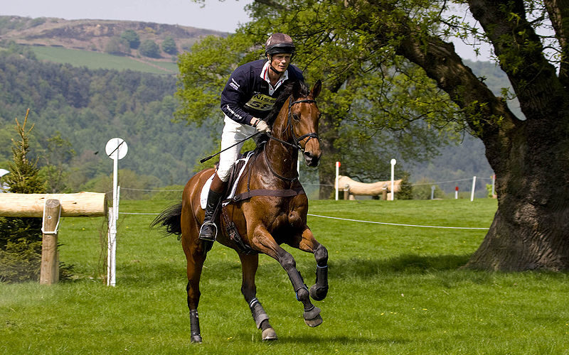 casque équitation