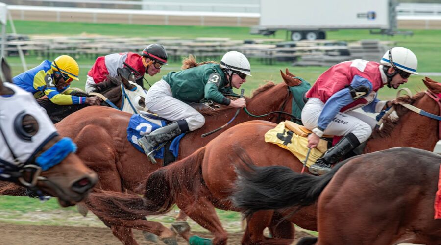 découvrez nos options de pension équine, offrant un hébergement de qualité pour vos chevaux. profitez de services adaptés à leurs besoins, garantissant bien-être et sécurité. contactez-nous pour plus d'informations sur nos formules personnalisées.