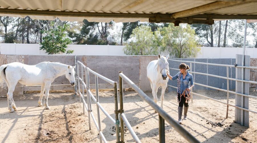 découvrez des méthodes efficaces pour le dressage de chevaux, adaptées à tous les niveaux. améliorez la communication avec votre équidé et renforcez leur confiance pour une expérience équestre enrichissante.