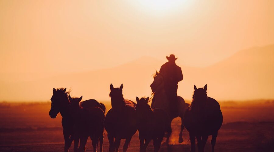 découvrez la qualité exceptionnelle de la selle western wintec, conçue pour offrir confort et performance aux cavaliers de tous niveaux. fabriquée avec des matériaux durables, elle garantit une excellente adaptation à votre cheval tout en étant facile d'entretien. idéale pour les randonnées, le travail sur le plateau ou les compétitions, la selle wintec allie tradition et innovation. prenez le contrôle de vos aventures équestres avec élégance et style.