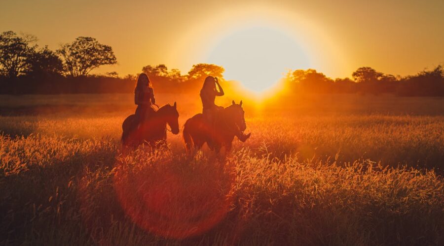 découvrez l'univers fascinant de l'équitation avec nos randonnées à cheval adaptées à tous les niveaux. profitez de moments inoubliables au cœur de la nature, tout en apprenant à vous familiariser avec ces magnifiques animaux. que vous soyez débutant ou cavalier expérimenté, vivez l'aventure équestre qui vous correspond !