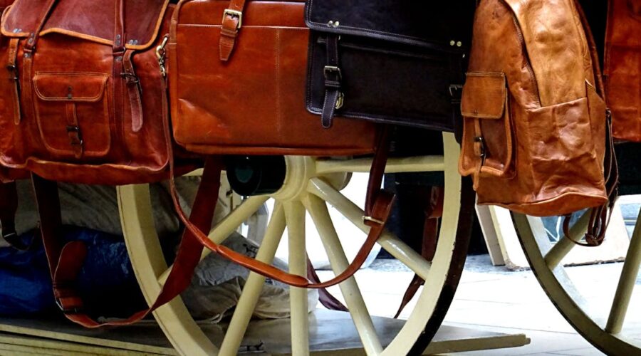 découvrez les tendances équestres de l'année, des styles d'équitation aux équipements innovants. restez à la pointe de la mode équestre et inspirez-vous des dernières nouveautés pour enrichir votre passion pour le monde équin.