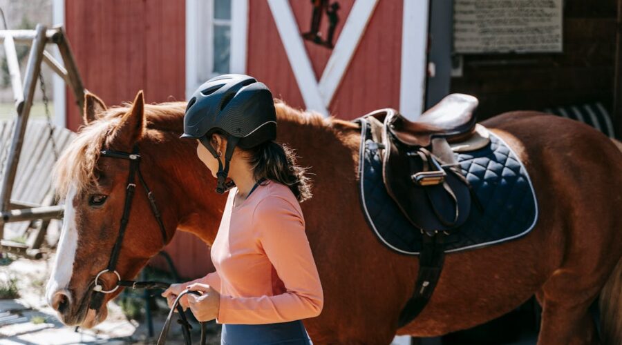 Mors simple ou double brisure